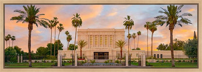 Mesa Palm Trees Gallery Wrap