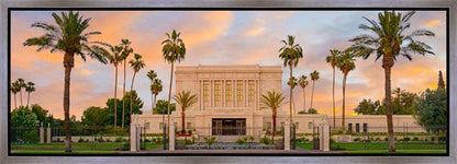 Mesa Palm Trees Gallery Wrap