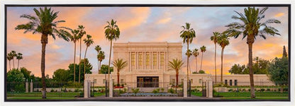 Mesa Palm Trees Gallery Wrap