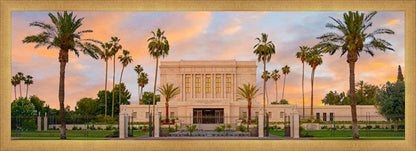 Mesa Palm Trees