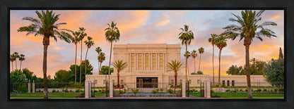 Mesa Palm Trees Gallery Wrap