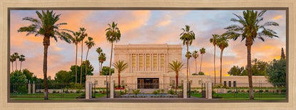 Mesa Palm Trees Gallery Wrap
