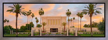 Mesa Palm Trees Gallery Wrap