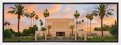 Mesa Palm Trees Gallery Wrap