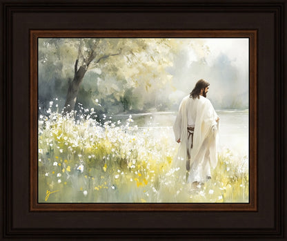Life Anew