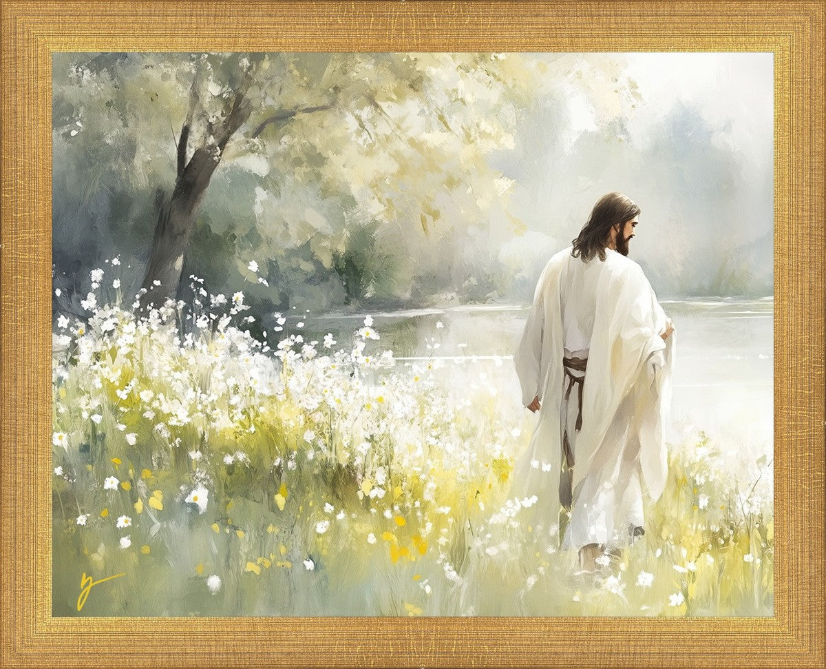 Life Anew