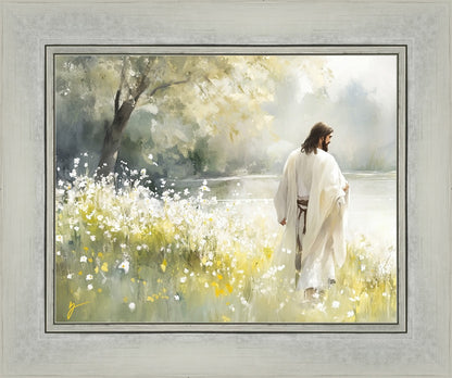 Life Anew