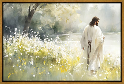 Life Anew