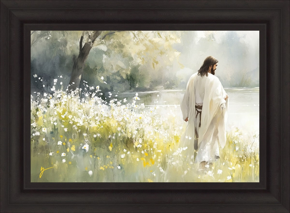 Life Anew