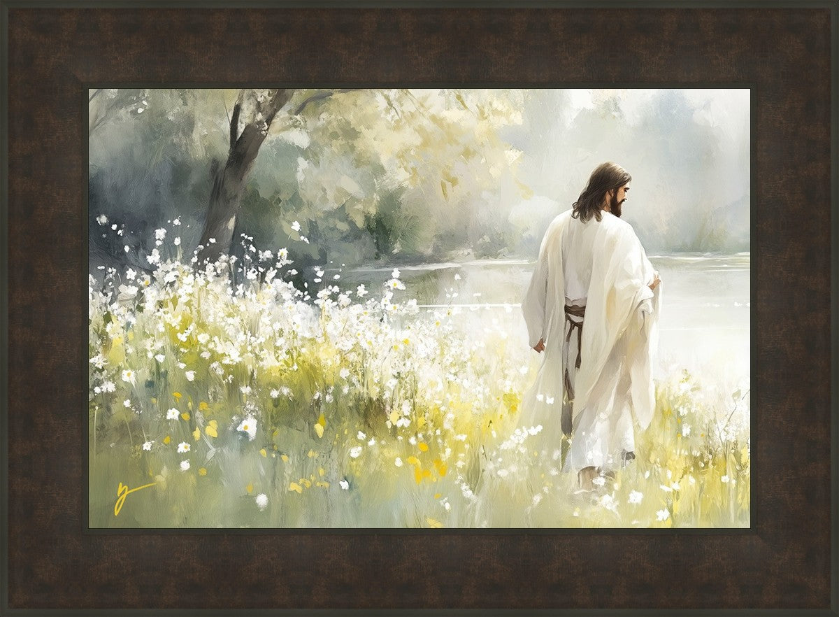 Life Anew