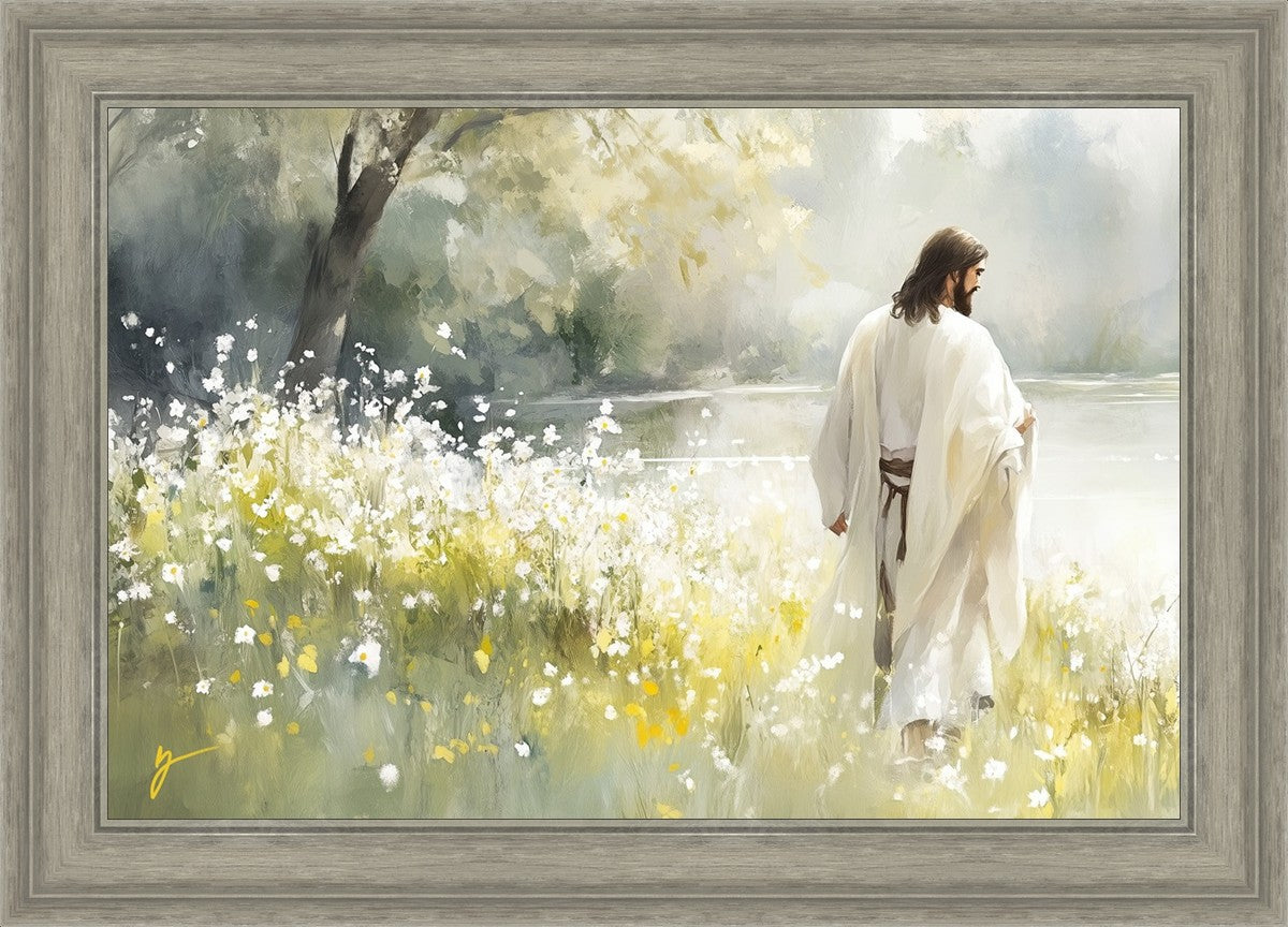 Life Anew