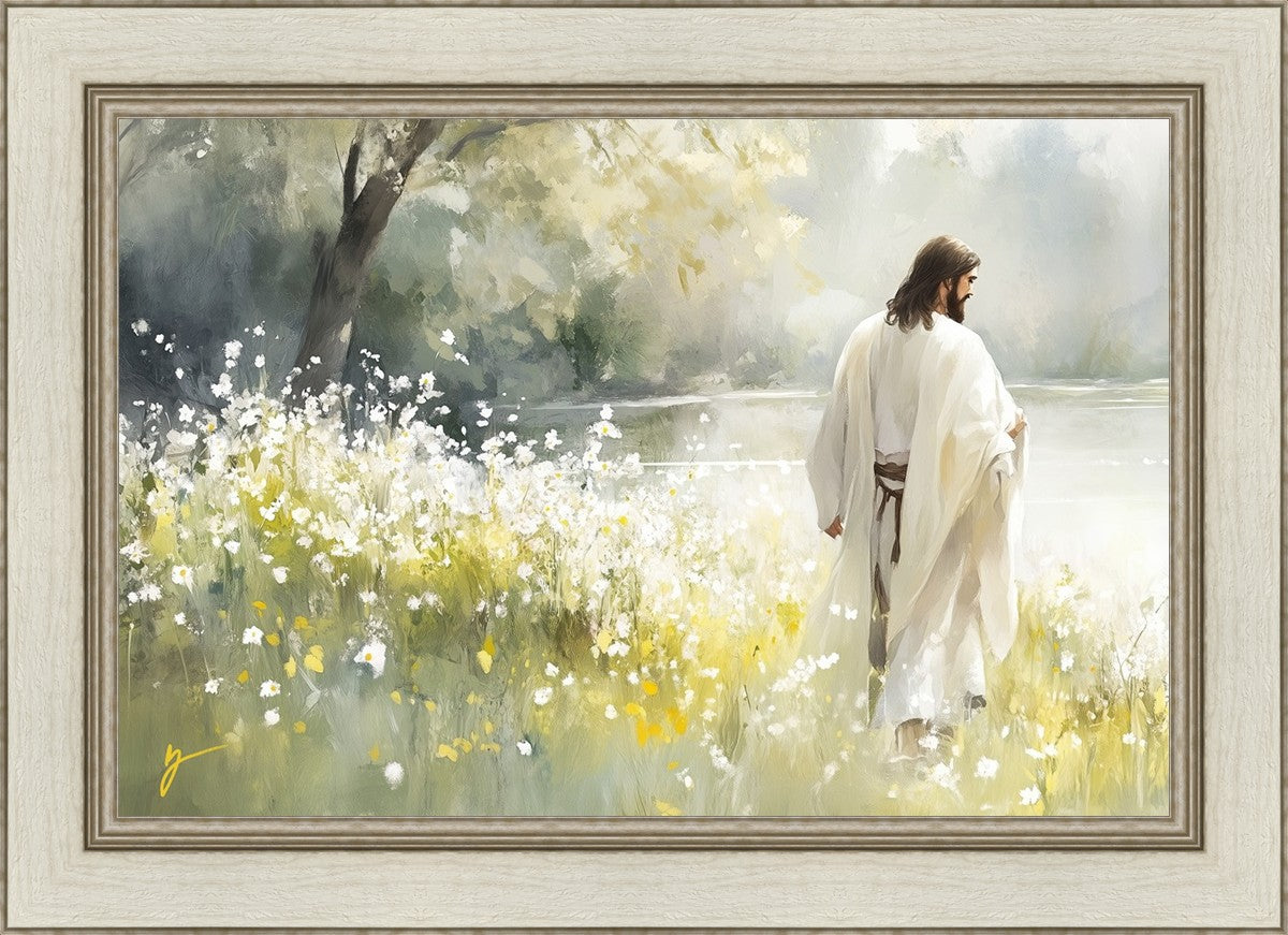 Life Anew