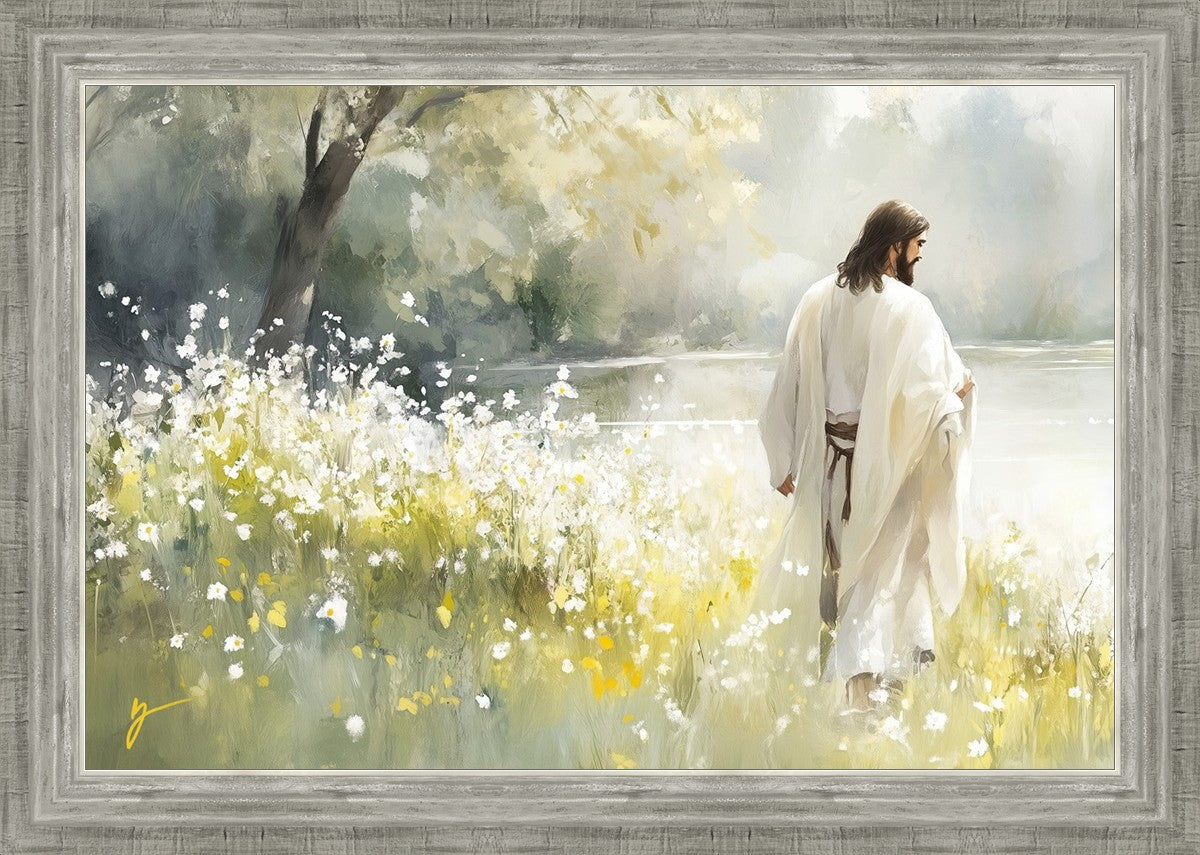 Life Anew
