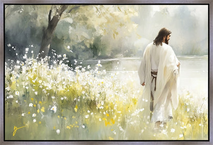 Life Anew