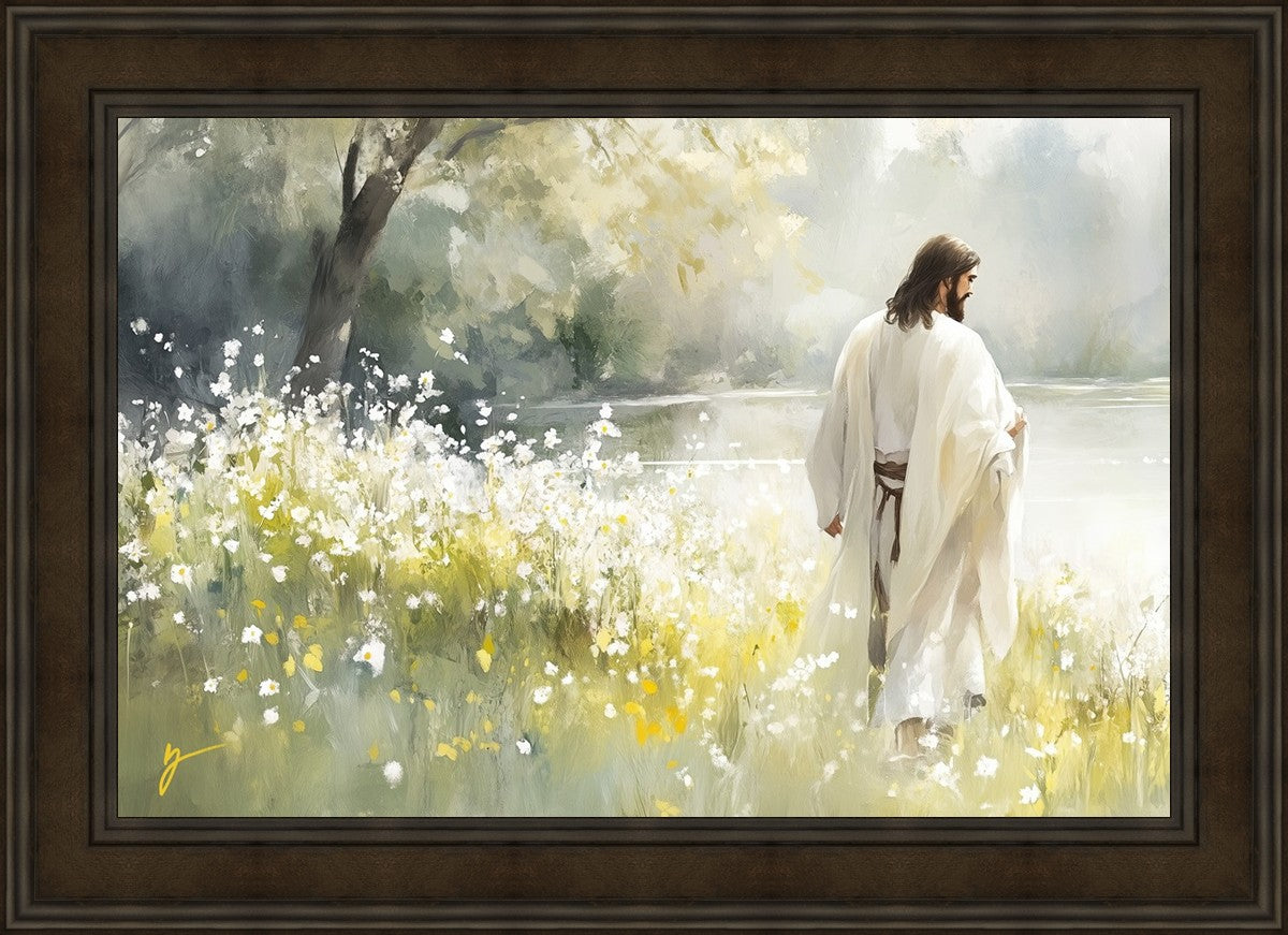 Life Anew