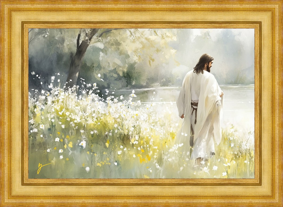 Life Anew