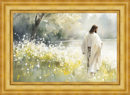 Life Anew
