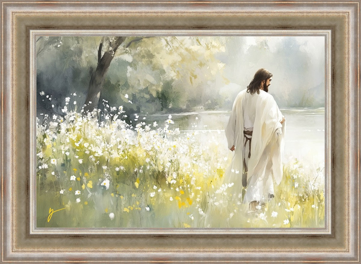 Life Anew