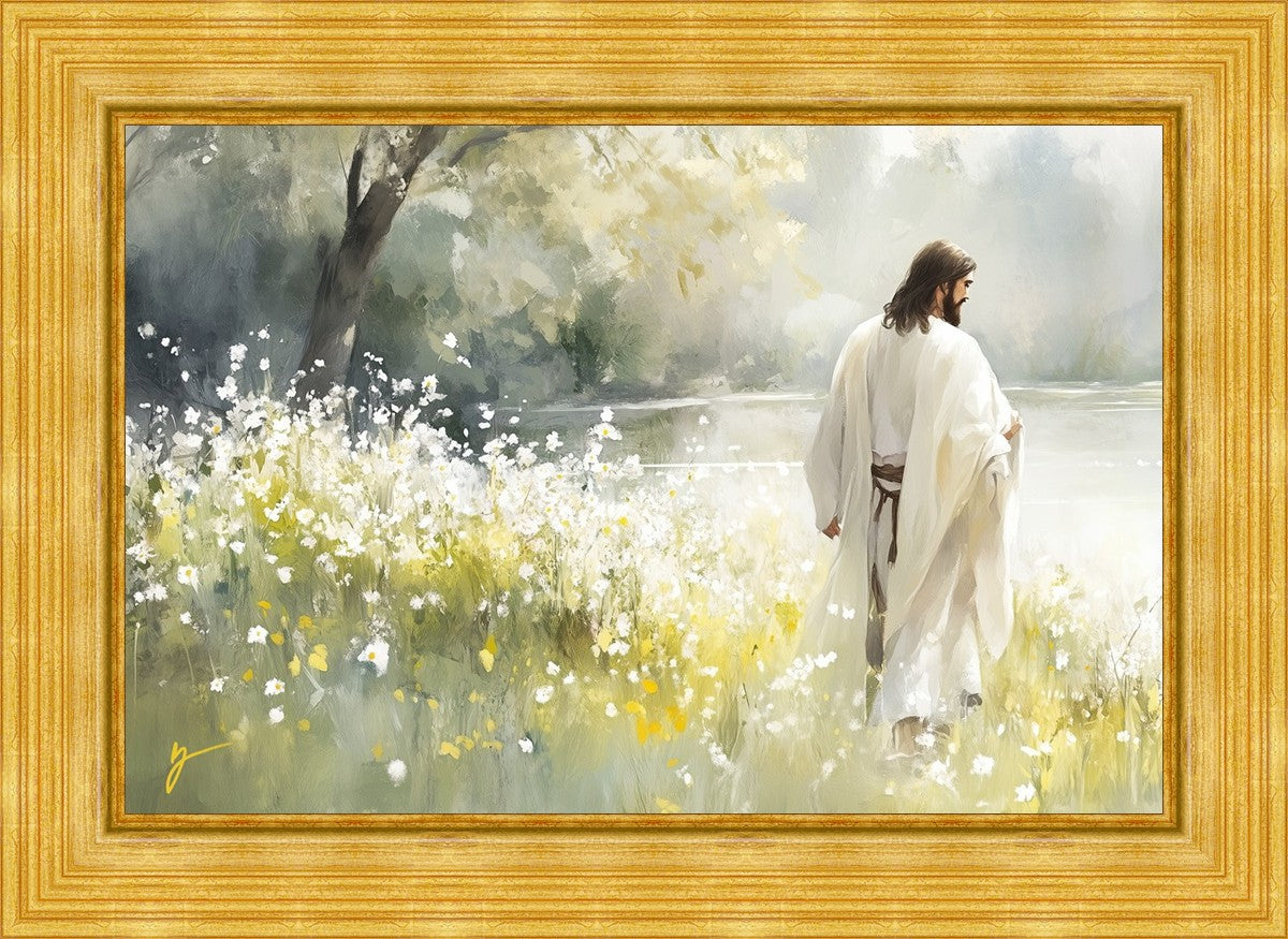 Life Anew