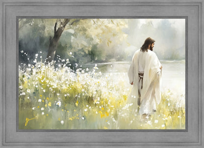 Life Anew