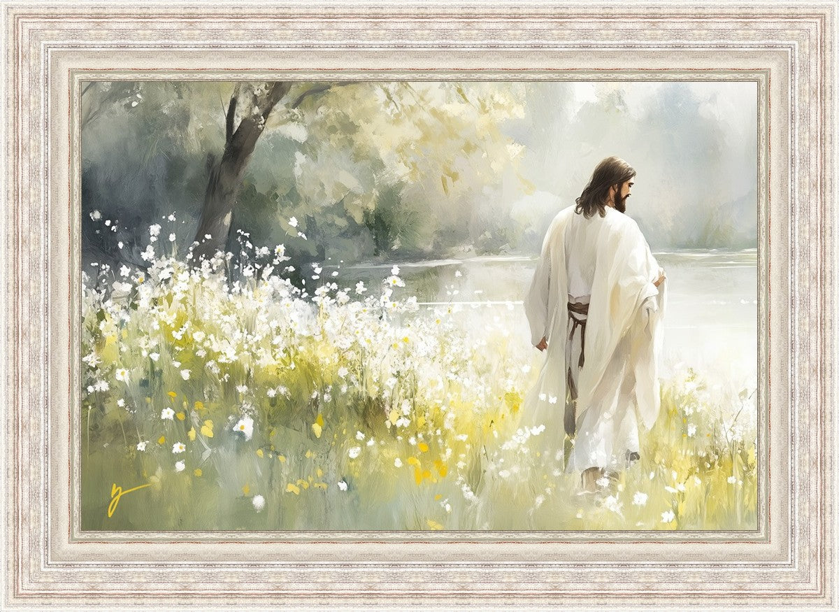 Life Anew