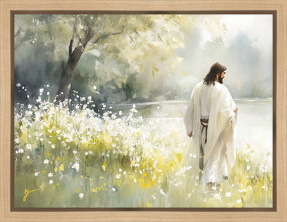 Life Anew