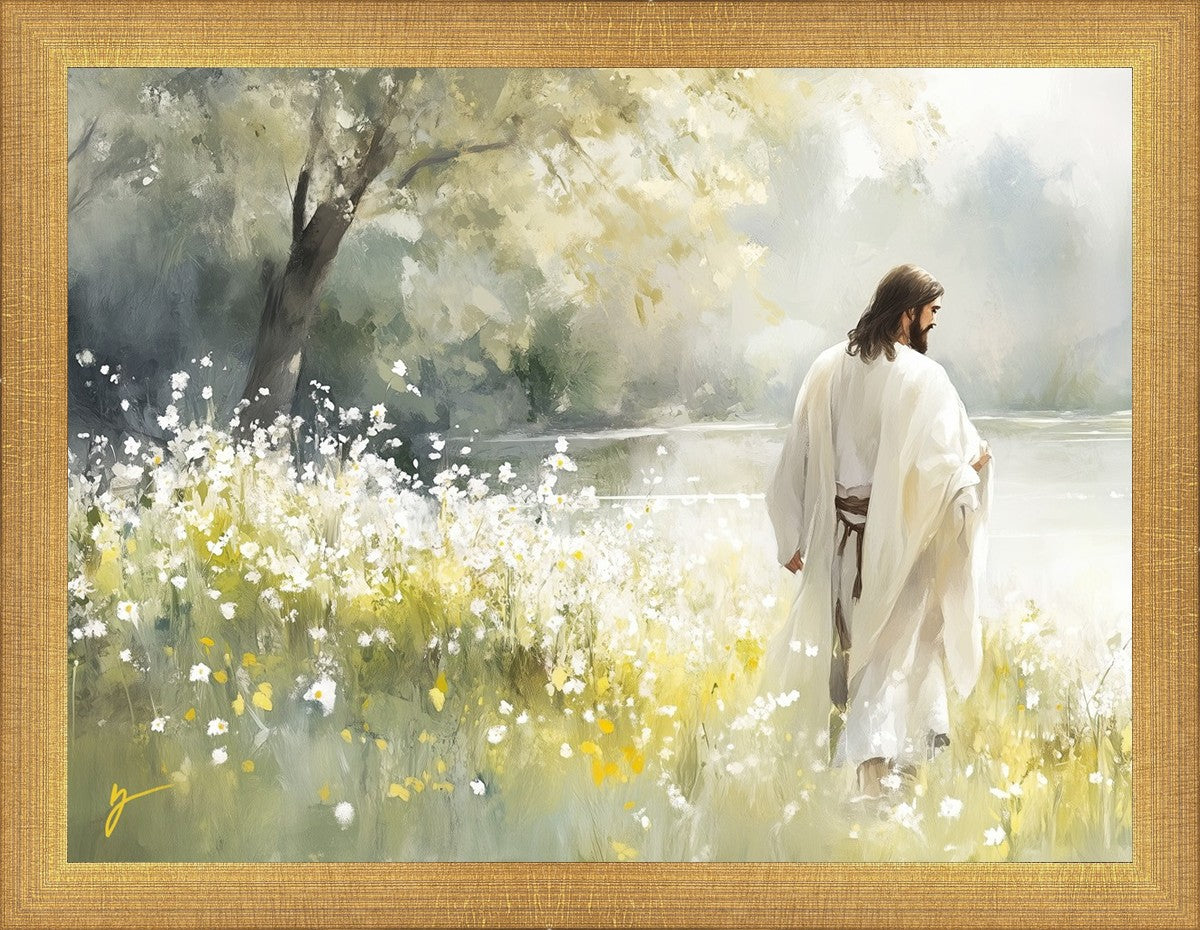 Life Anew