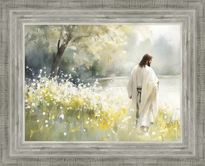 Life Anew