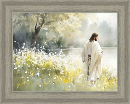 Life Anew