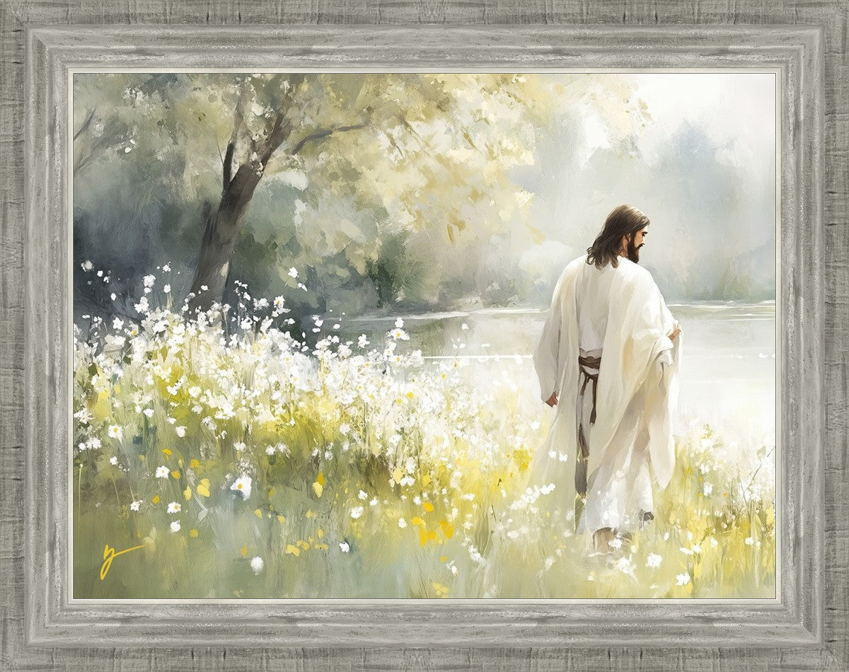 Life Anew