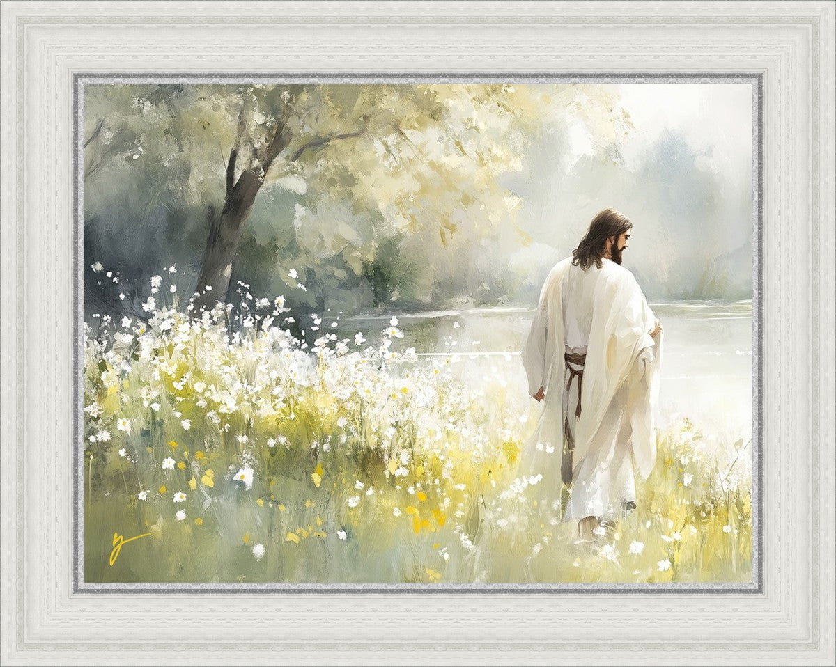 Life Anew