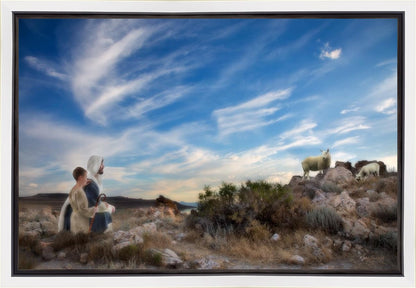 Training the Young Shepherd