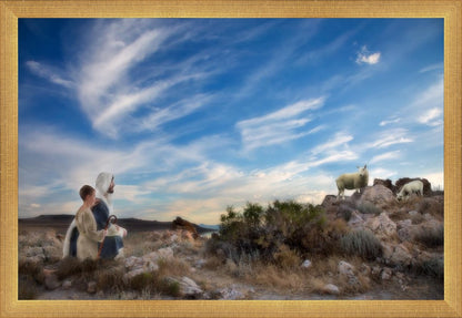 Training the Young Shepherd