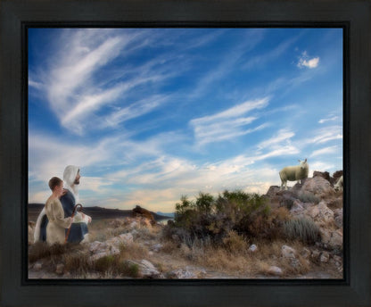 Training the Young Shepherd
