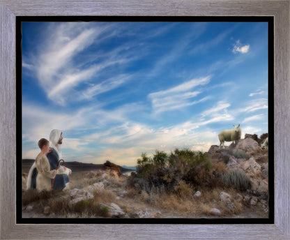 Training the Young Shepherd