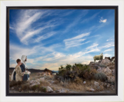 Training the Young Shepherd