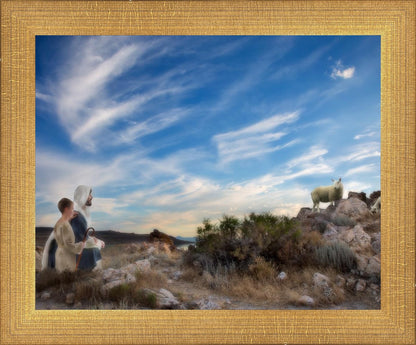 Training the Young Shepherd