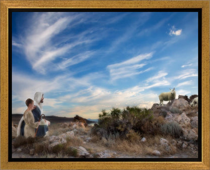 Training the Young Shepherd
