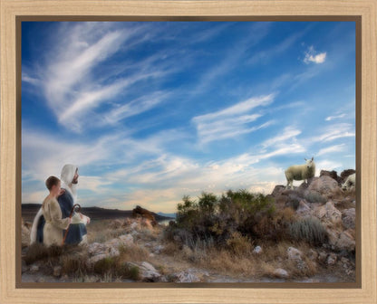 Training the Young Shepherd