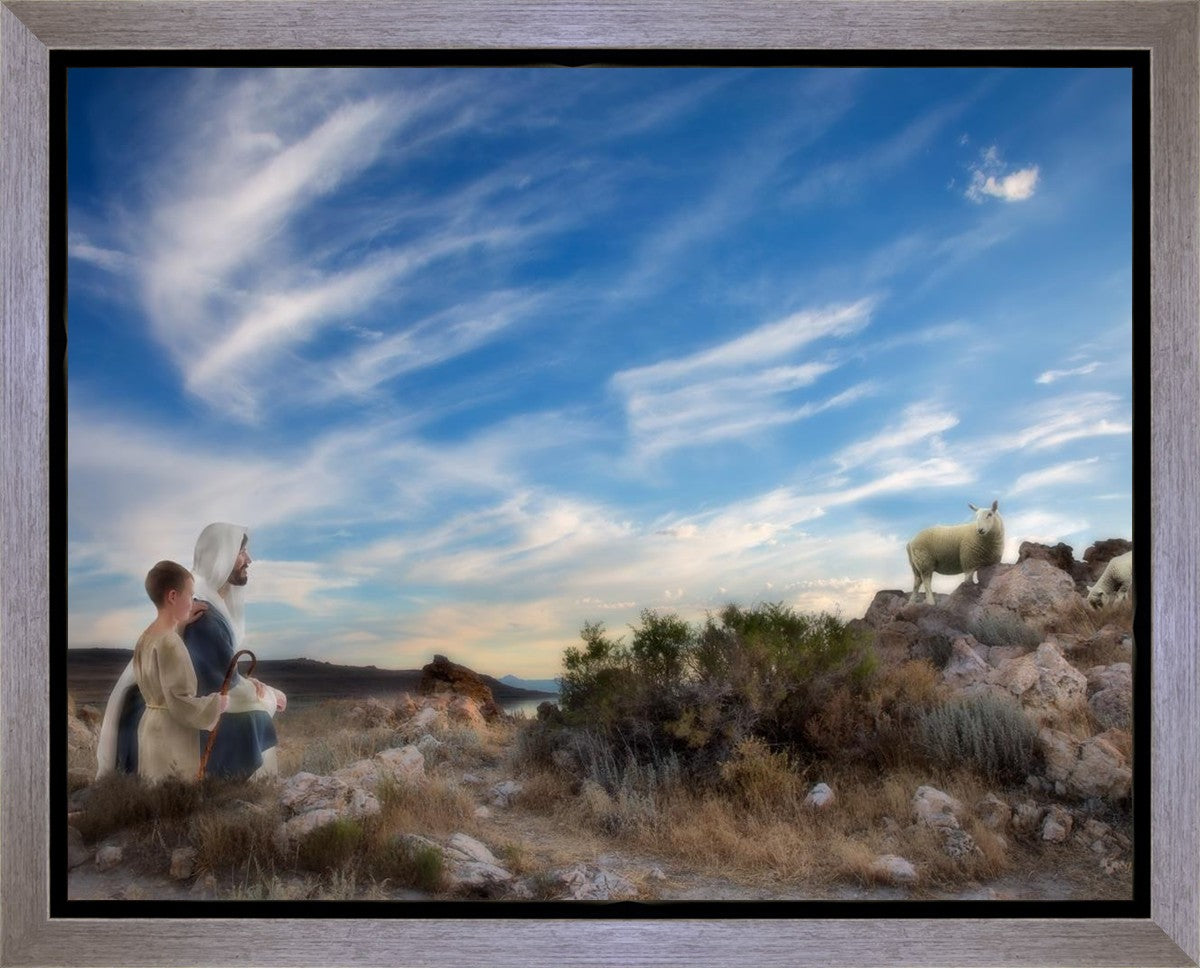 Training the Young Shepherd