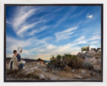 Training the Young Shepherd