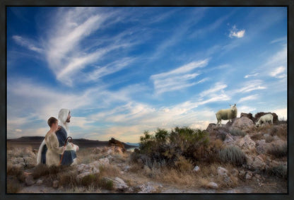 Training the Young Shepherd