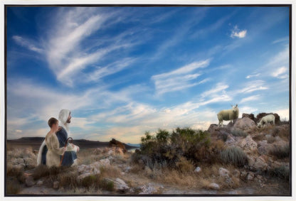 Training the Young Shepherd