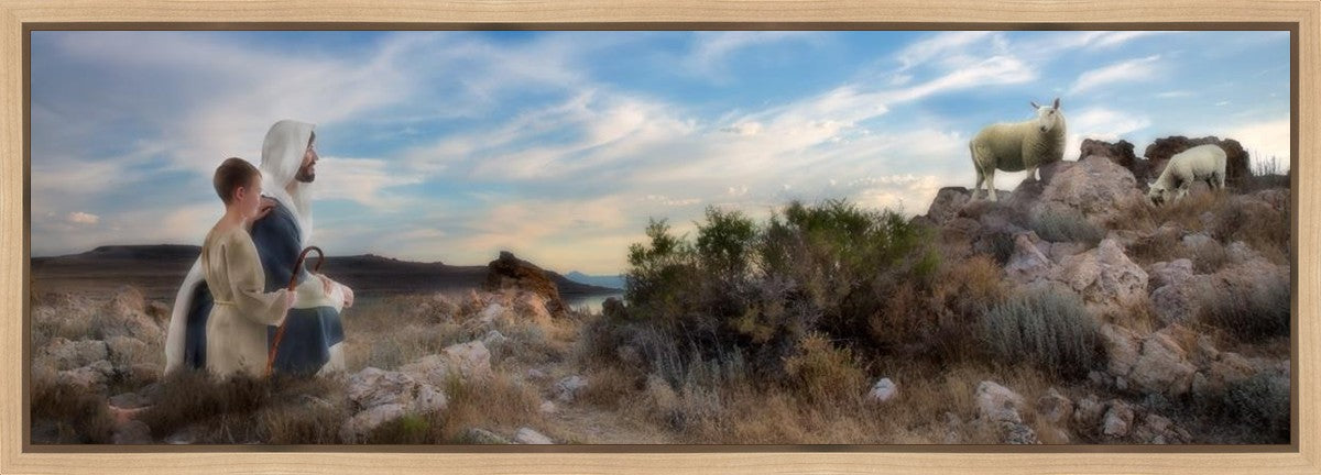 Training the Young Shepherd