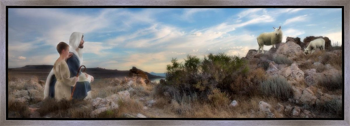 Training the Young Shepherd