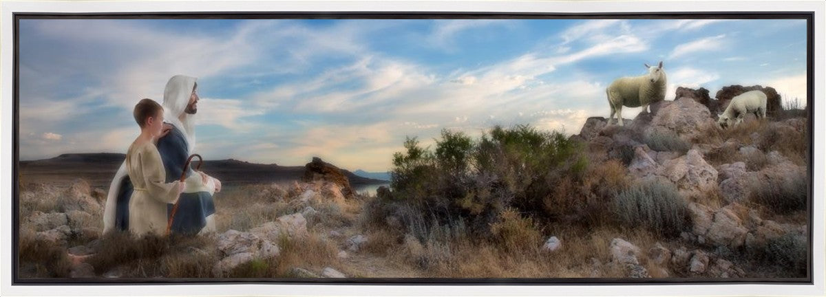 Training the Young Shepherd