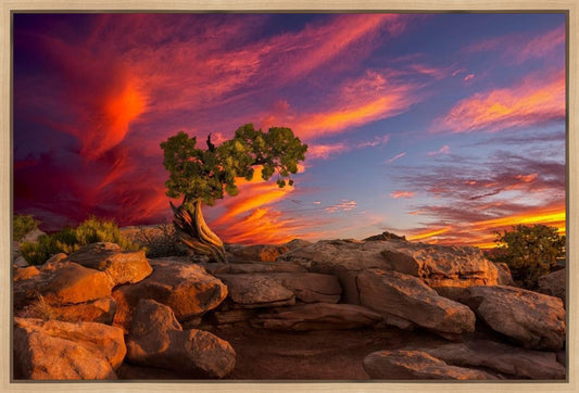 Moab Morning
