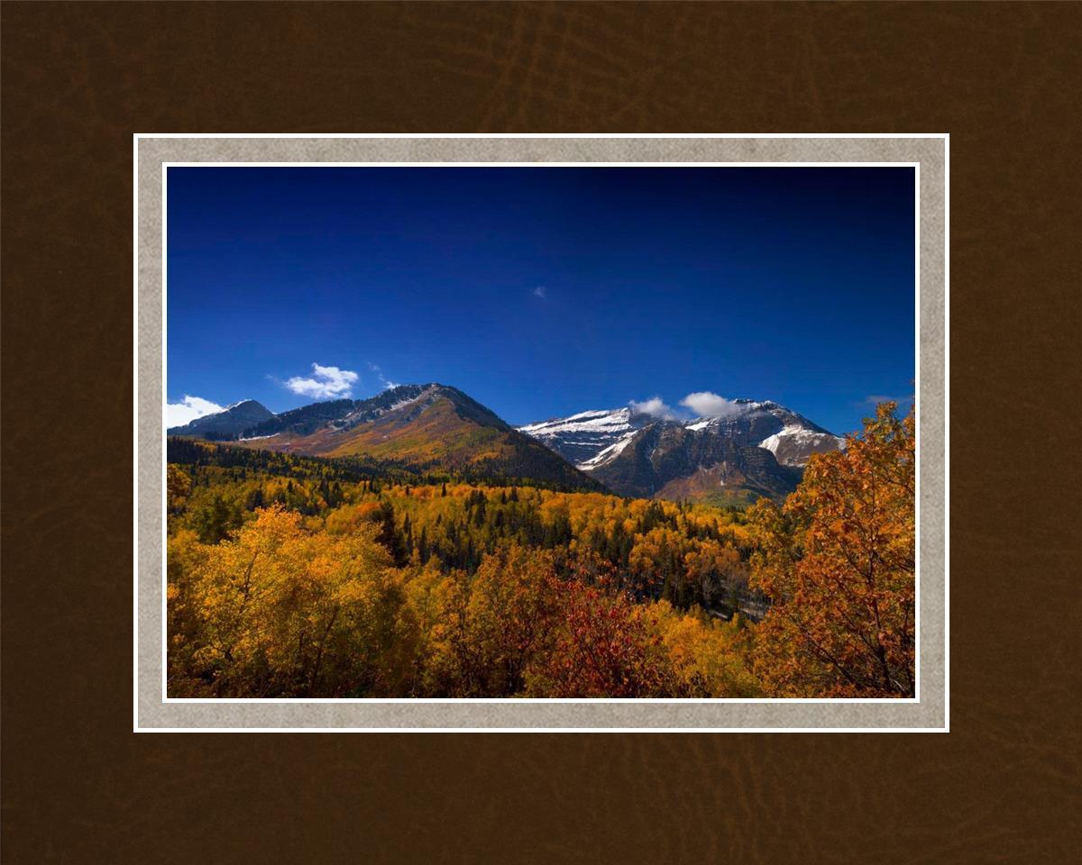 Back Side Of Timpanogos