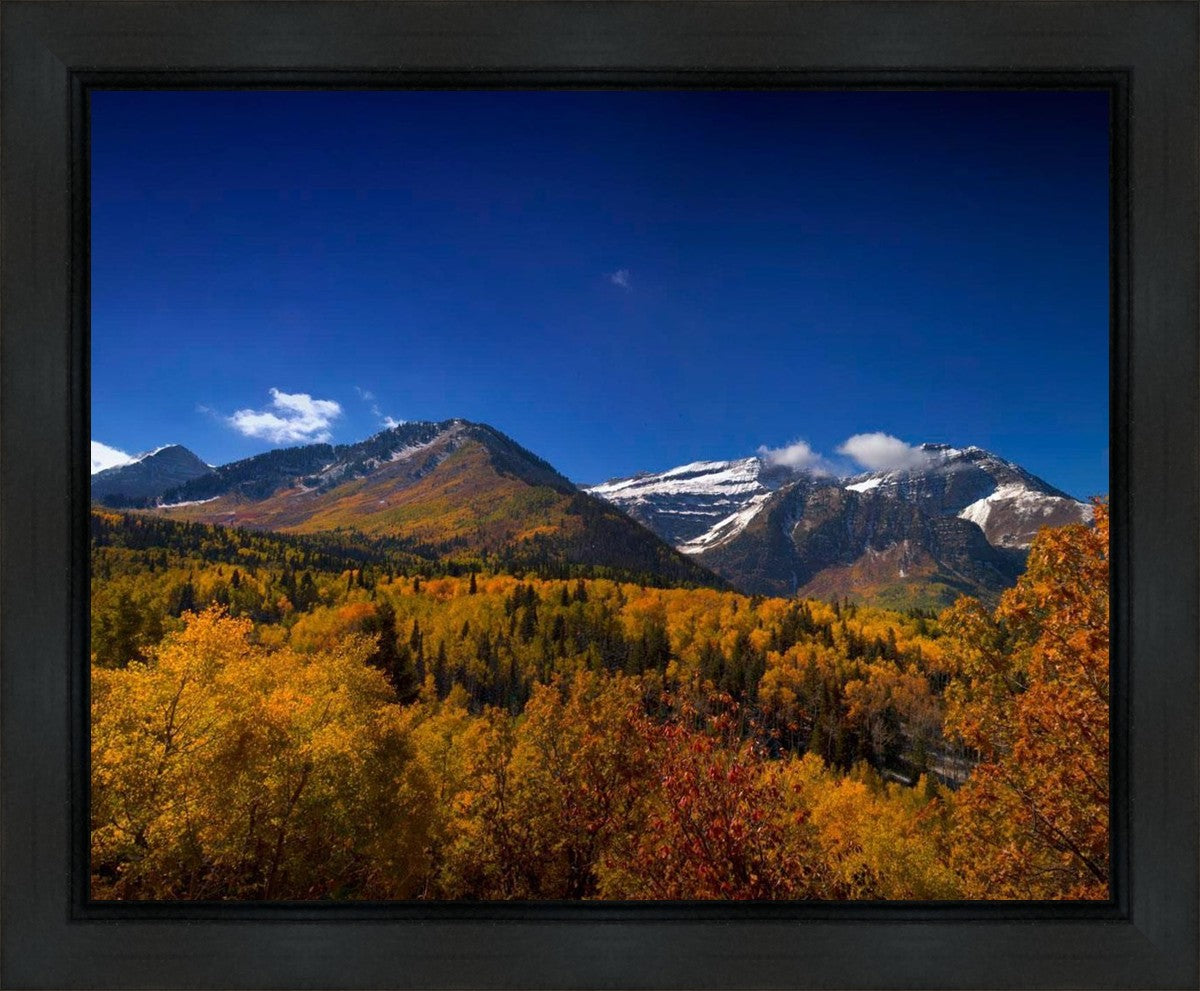 Back Side Of Timpanogos