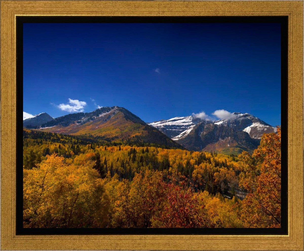 Back Side Of Timpanogos